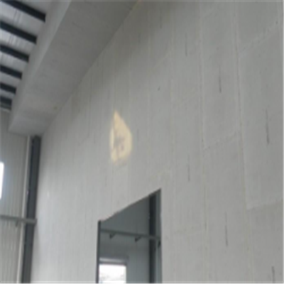 北票宁波ALC板|EPS加气板隔墙与混凝土整浇联接的实验研讨